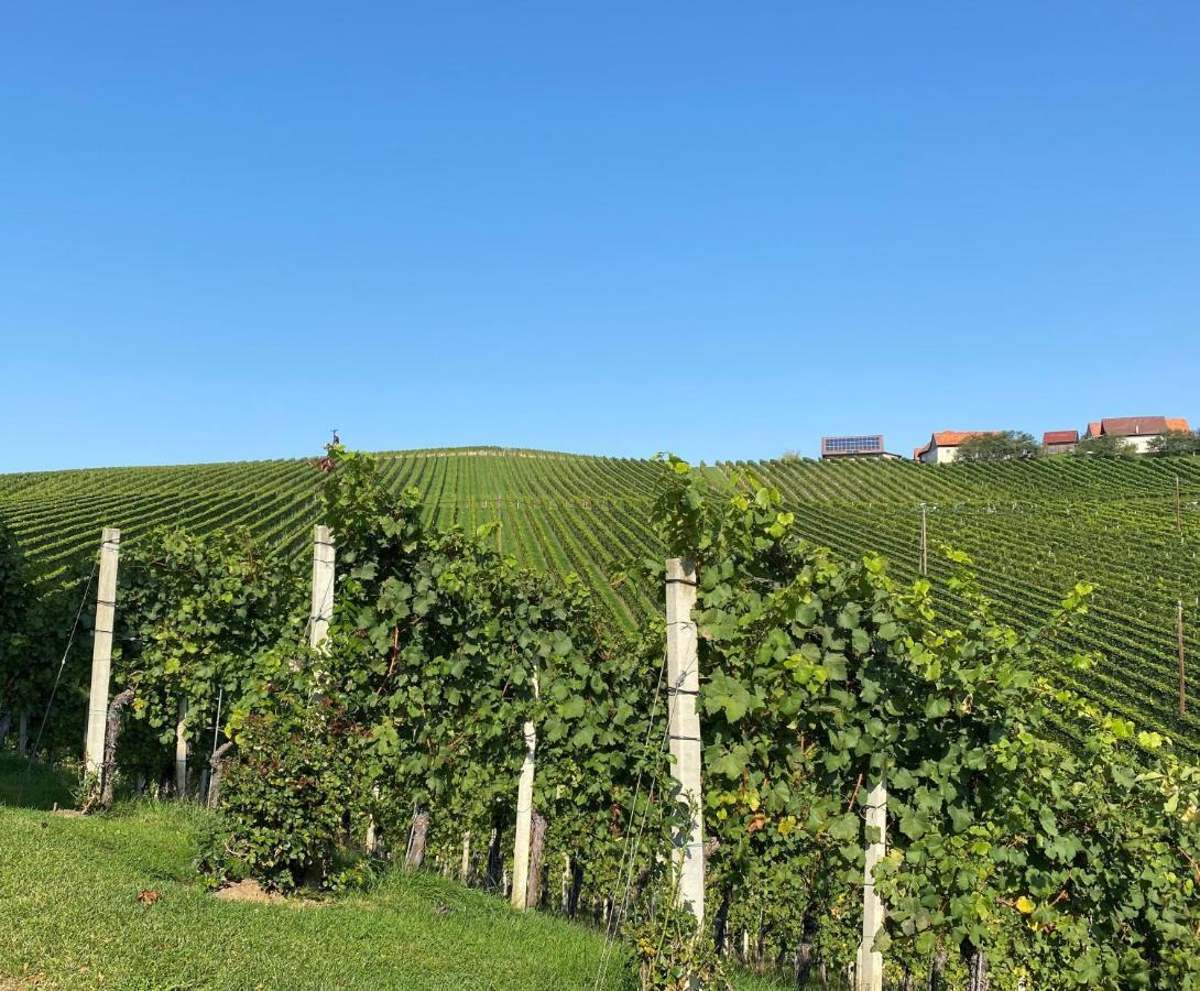 Wein Kultur Apartment Flavia Solva Wagna ภายนอก รูปภาพ