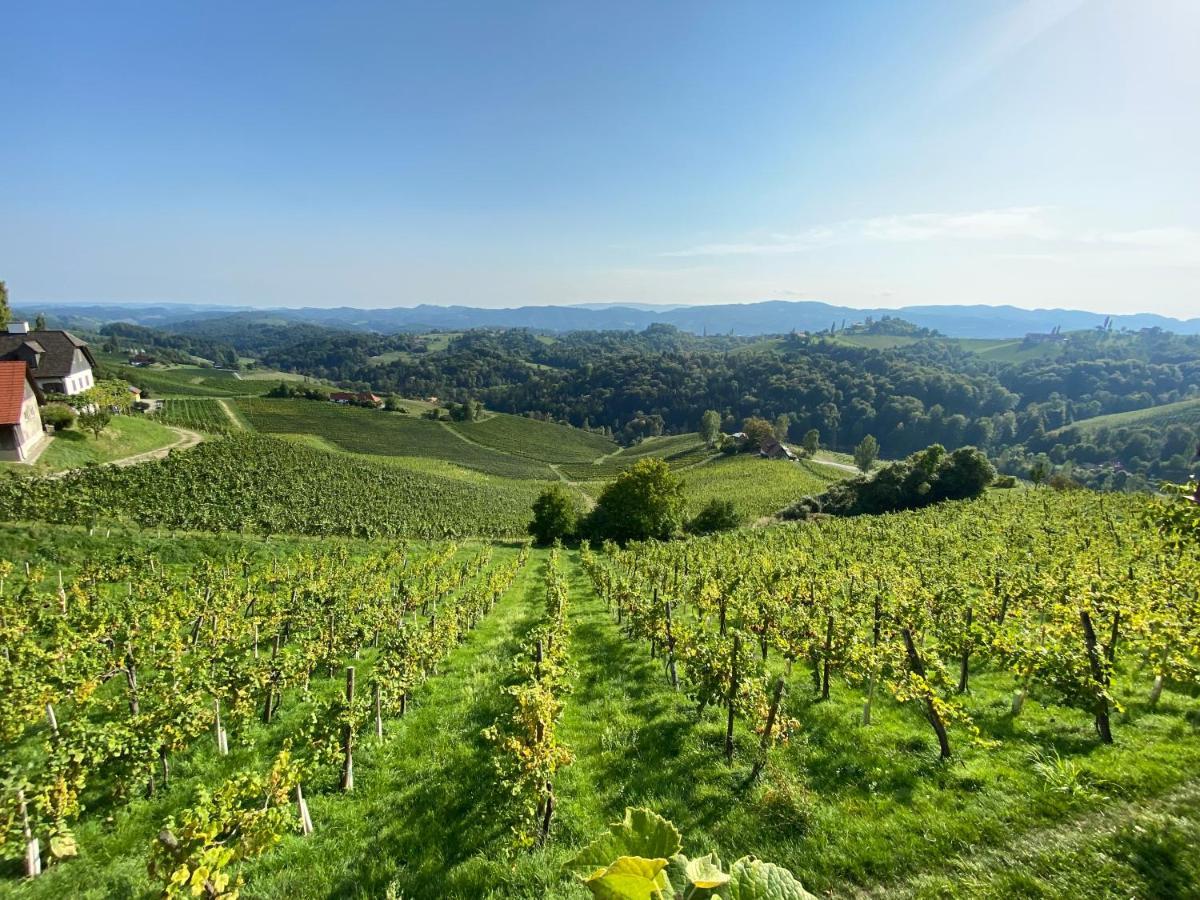 Wein Kultur Apartment Flavia Solva Wagna ภายนอก รูปภาพ